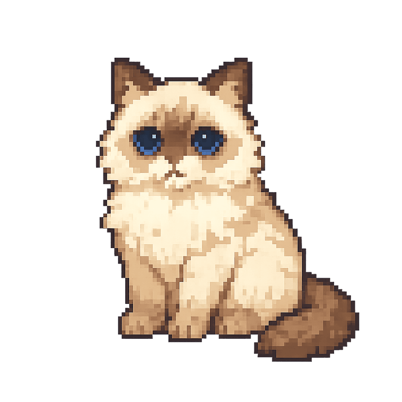 Mochi the Ragdoll desktop cat character