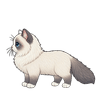 Rolls around