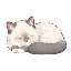 Sleeps
